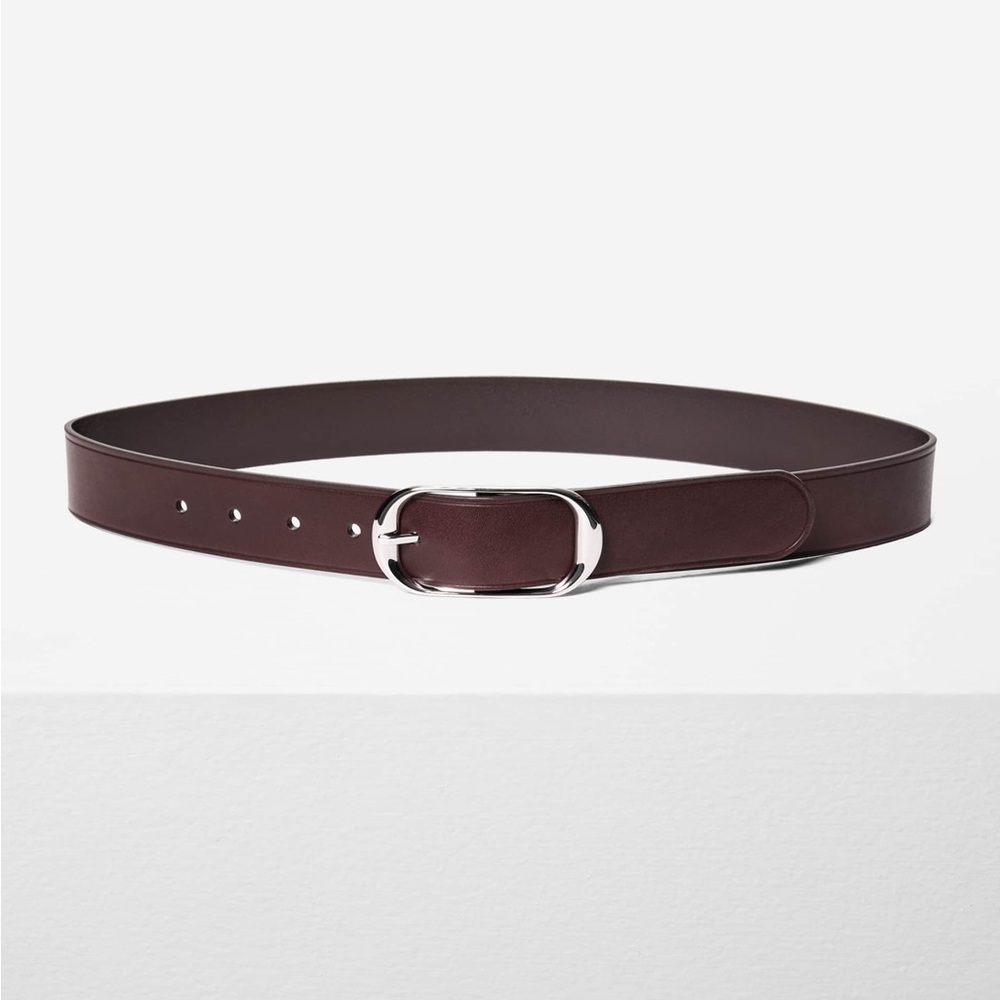 Aritzia Halo Dark Brown Silver Belt sz. XS Sold Out - Picture 8 of 8